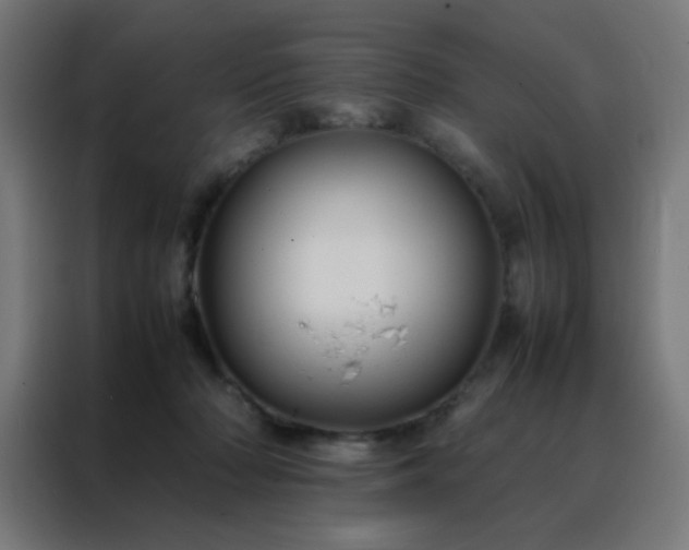 X0000088190318200705221708
