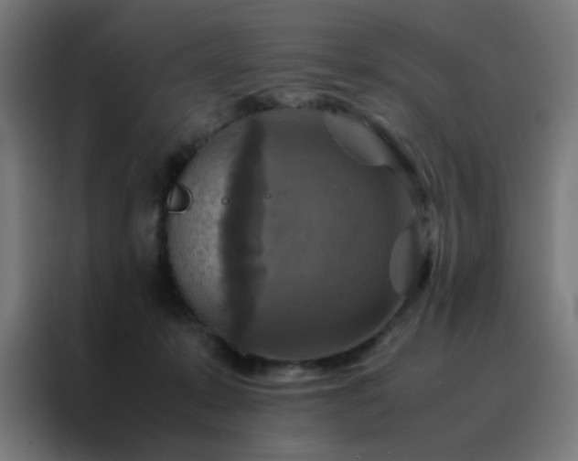 X0000088190319200705221708