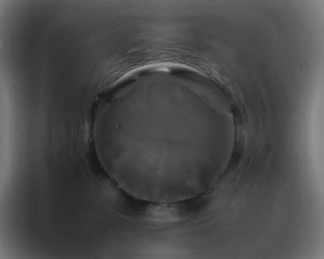 X0000088190331200705221707