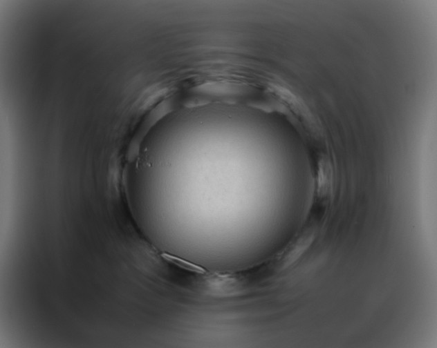X0000088190333200705221707