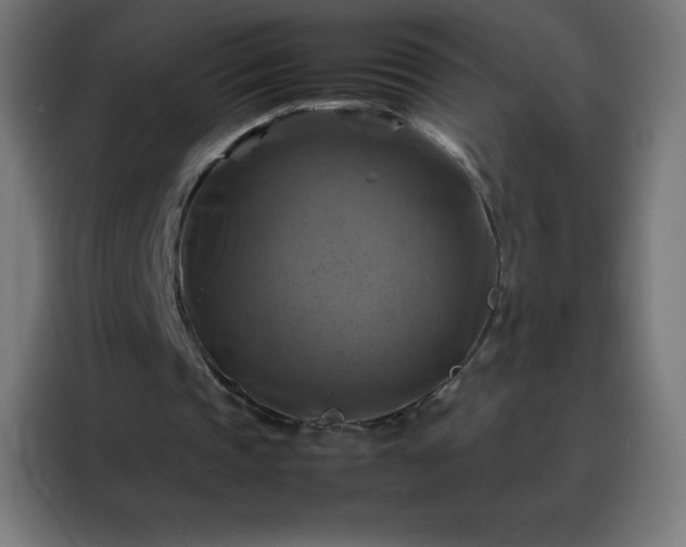 X0000088190337200705221707
