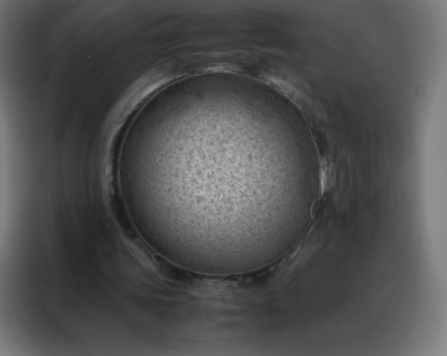 X0000088190339200705221707