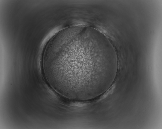 X0000088190341200705221707