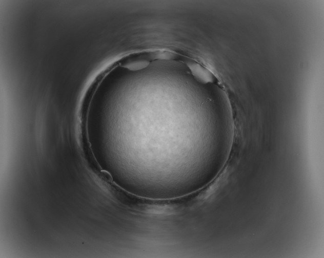X0000088190342200705221707