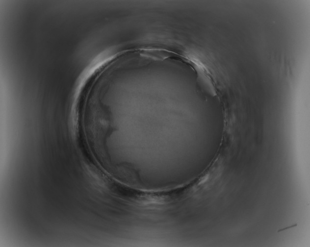 X0000088190343200705221707