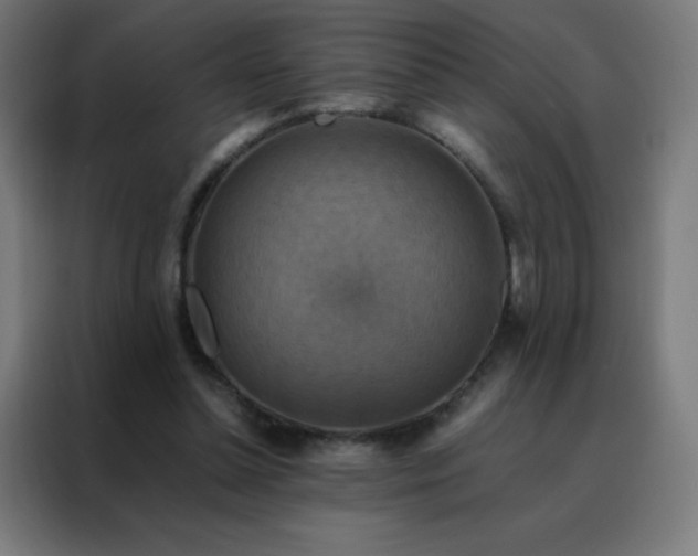X0000088190348200705221707