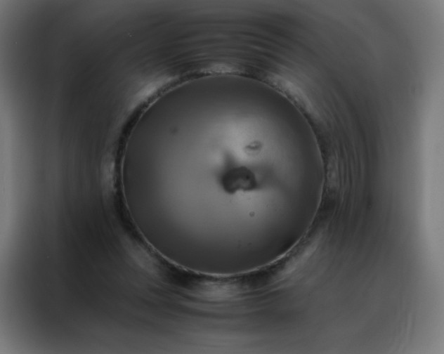 X0000088190351200705221707