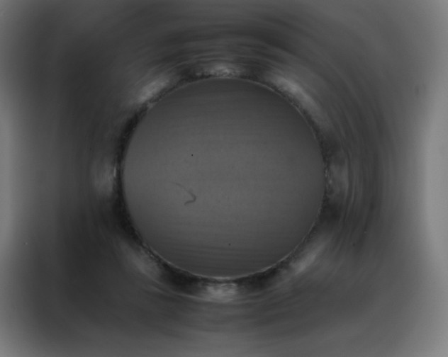 X0000088190355200705221707