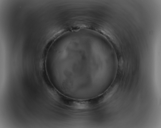 X0000088190359200705221707