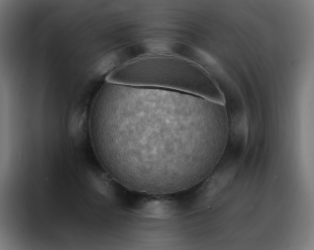 X0000088190364200705221707