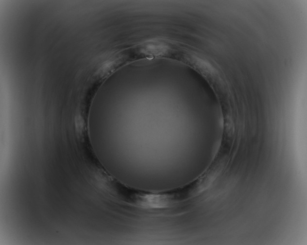 X0000088190371200705221707