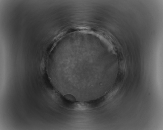 X0000088190372200705221707