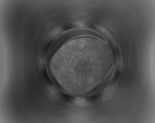 X0000088190376200705221707