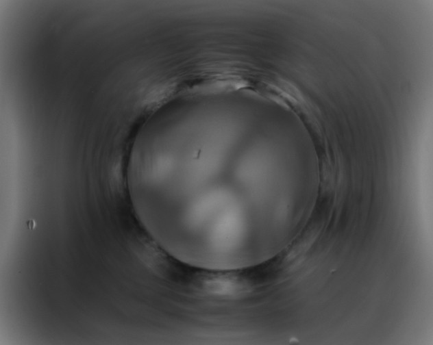 X0000088190377200705221707
