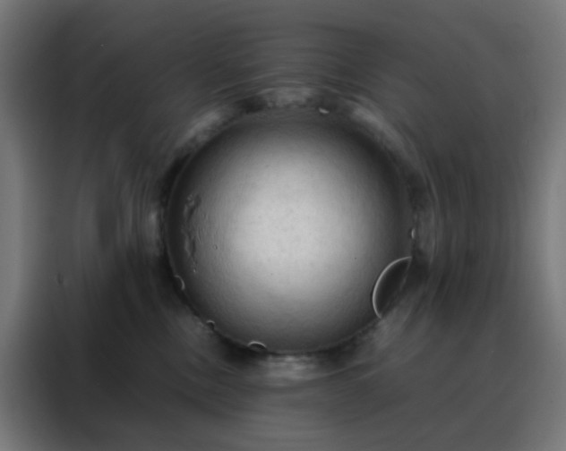 X0000088190378200705221707