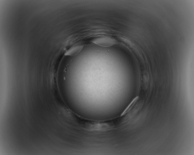 X0000088190379200705221707