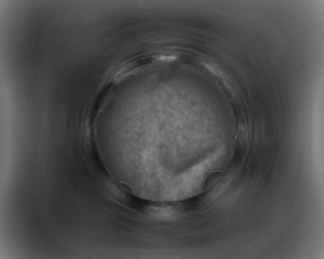 X0000088190381200705221707