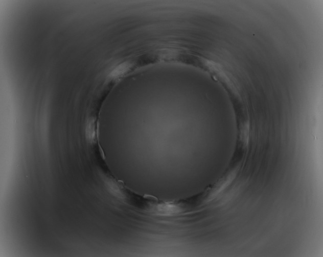 X0000088190383200705221707