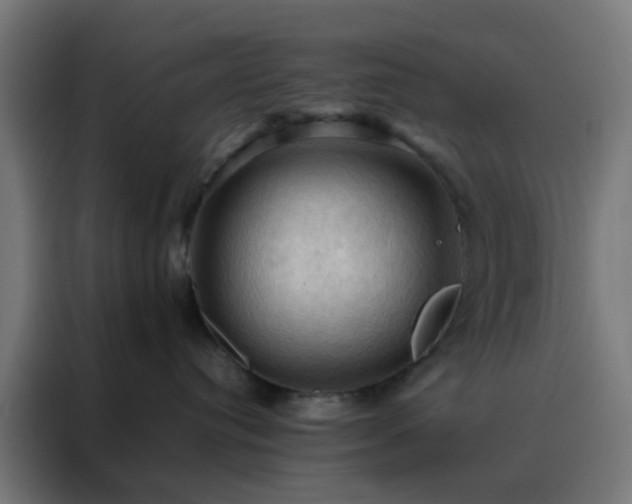 X0000088190384200705221707