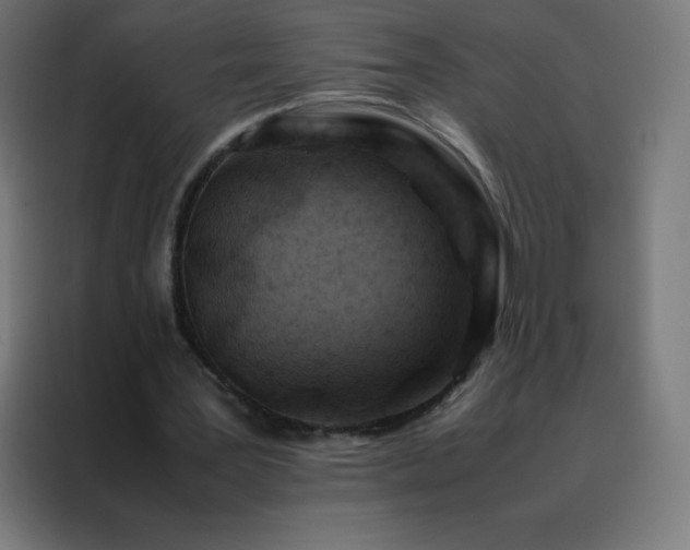 X0000088190387200705221707