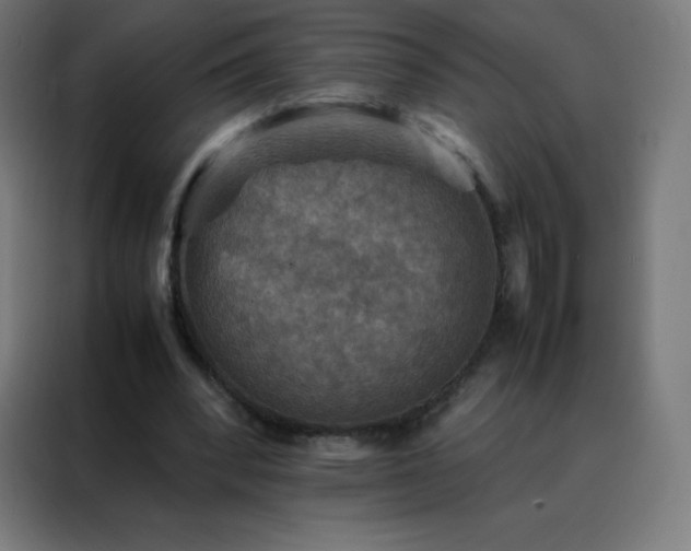 X0000088190392200705221707