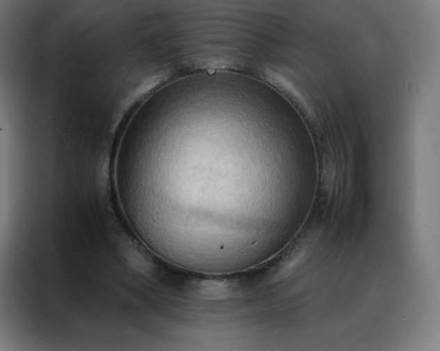 X0000088190394200705221707