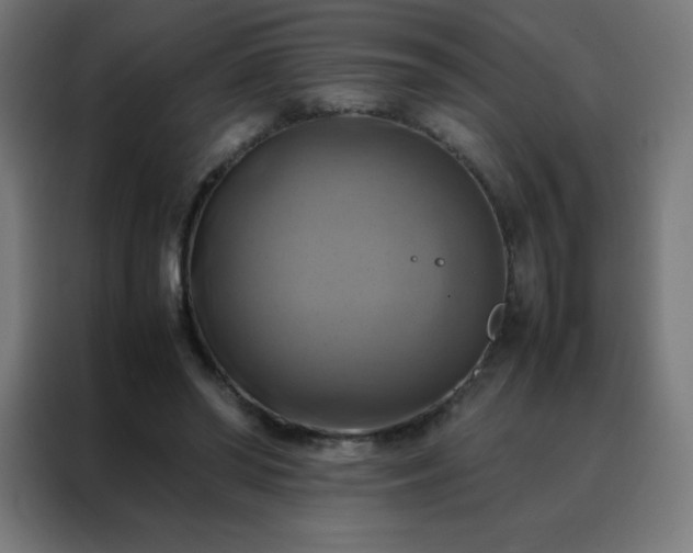 X0000088190398200705221706