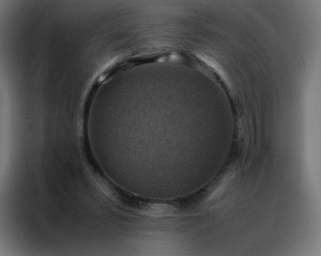 X0000088190399200705221706