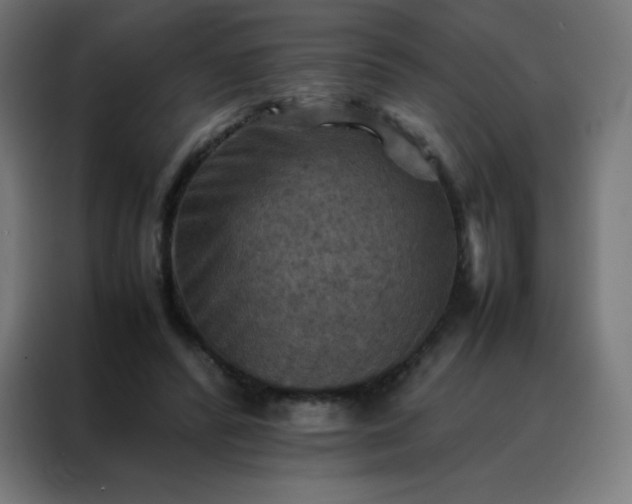 X0000088190400200705221706