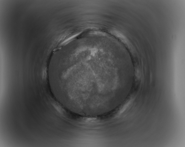 X0000088190401200705221706