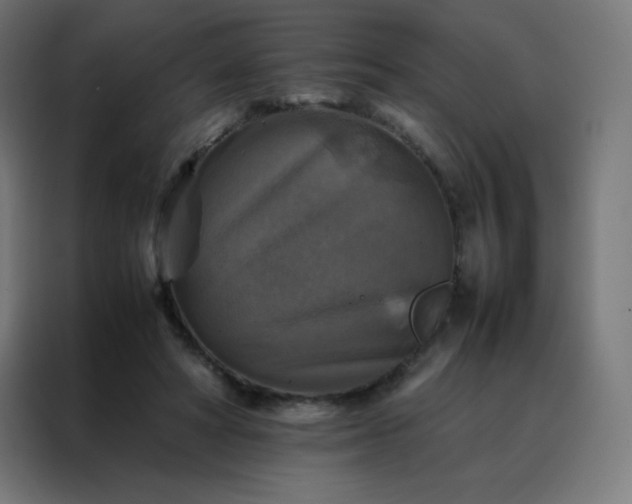 X0000088190402200705221706