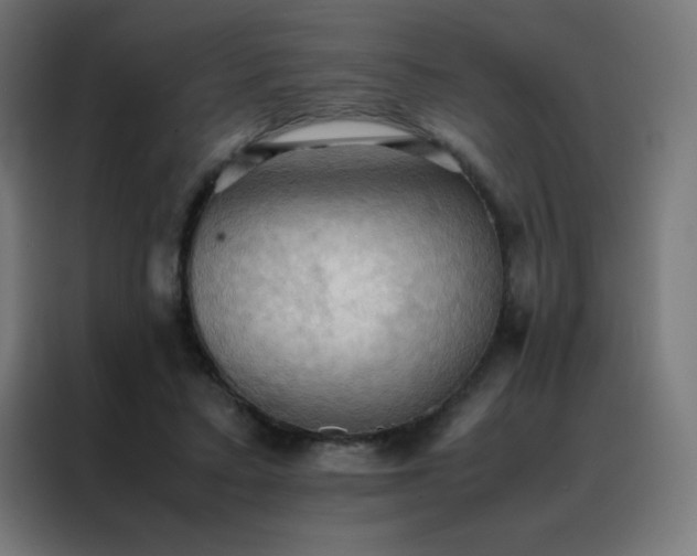 X0000088190403200705221706