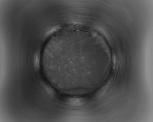 X0000088190404200705221706