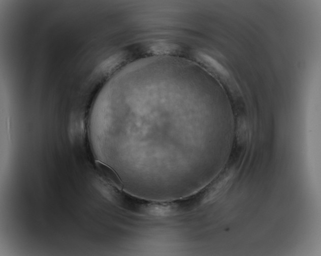X0000088190405200705221706