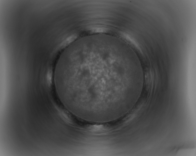 X0000088190406200705221706