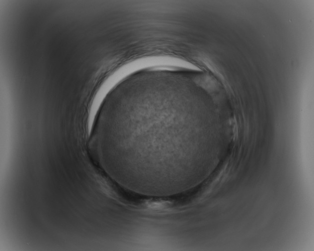 X0000088190407200705221706