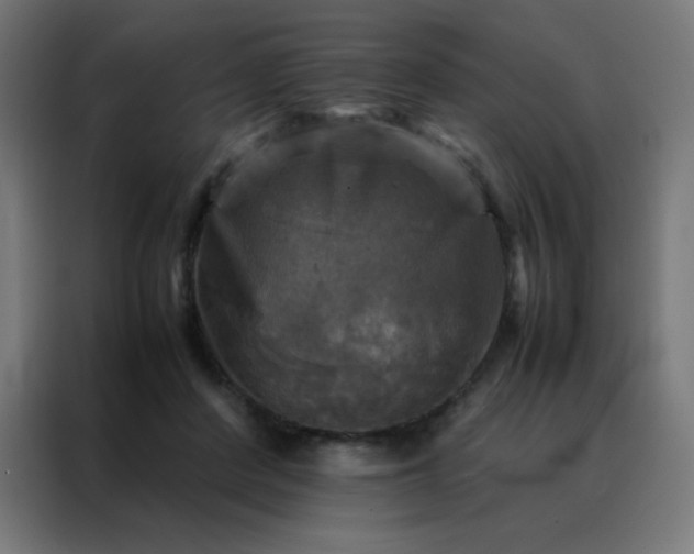 X0000088190408200705221706