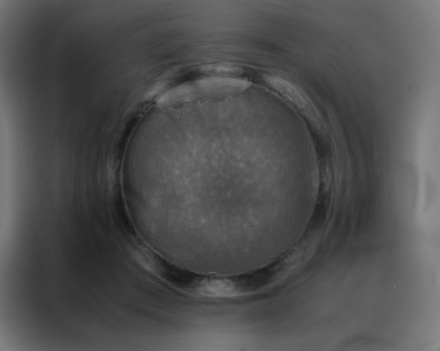 X0000088190409200705221706
