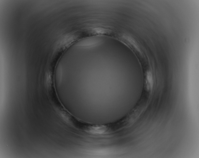 X0000088190410200705221706