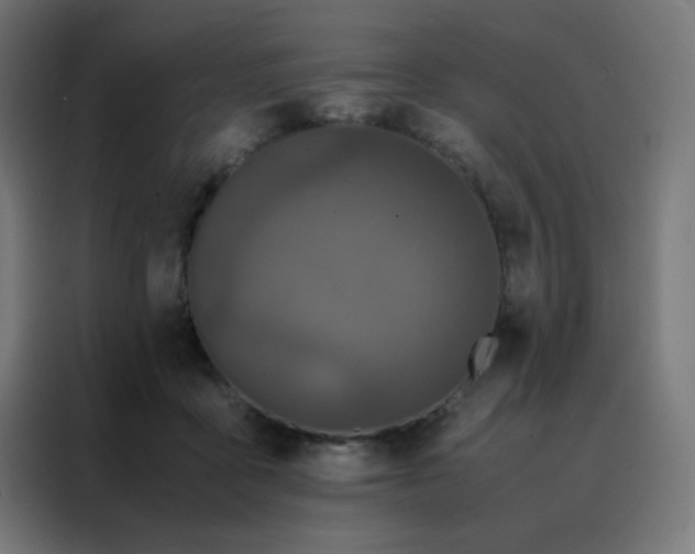 X0000088190411200705221706