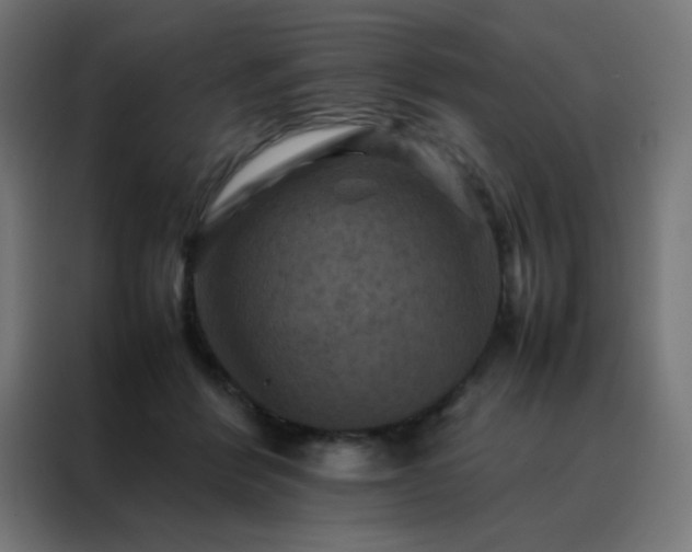 X0000088190412200705221706