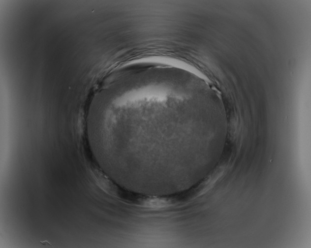 X0000088190413200705221706