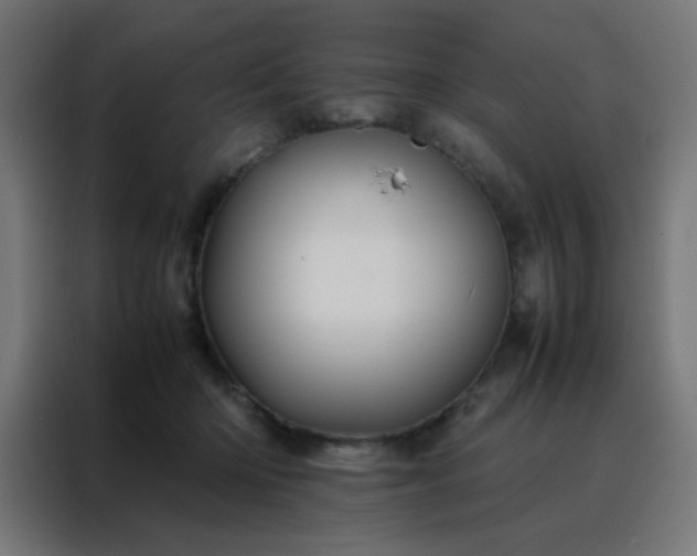 X0000088190414200705221706