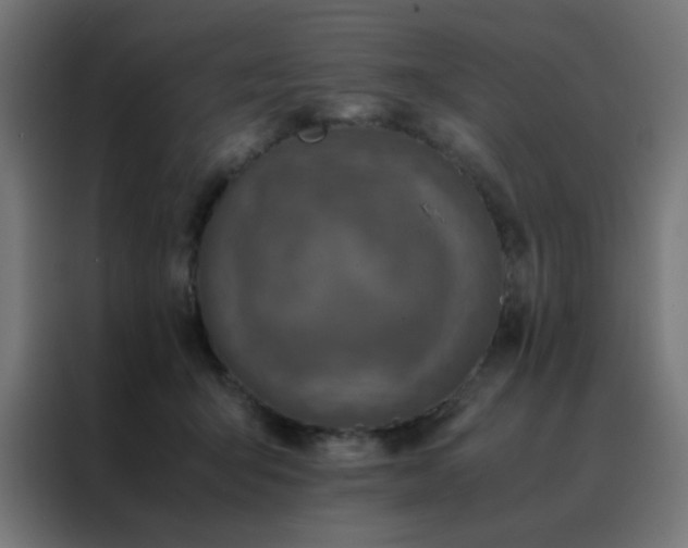 X0000088190415200705221706