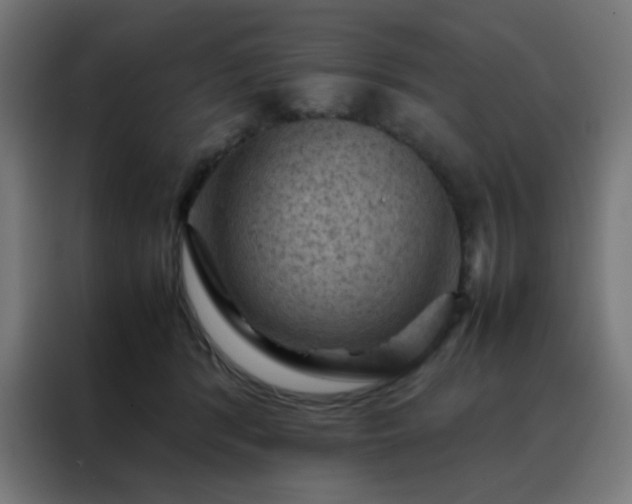 X0000088190416200705221706