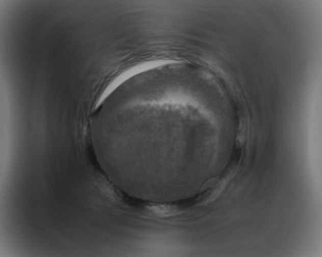 X0000088190417200705221706