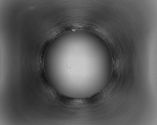 X0000088190418200705221706