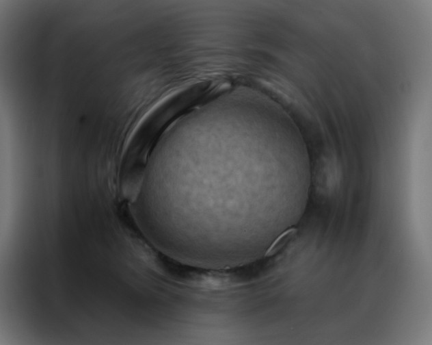 X0000088190420200705221706