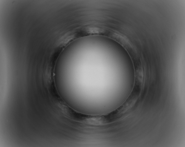 X0000088190422200705221706
