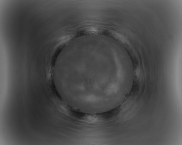 X0000088190423200705221706